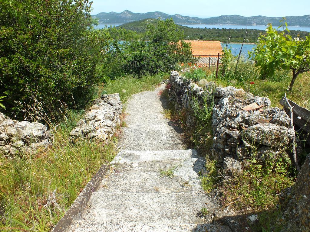 Villa Cortes Mali Iž Buitenkant foto